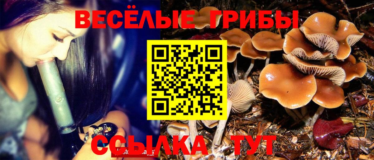 Галлюциногенные грибы GOLDEN TEACHER  Вход с VPN  Кудымкар  Галлюциногенные грибы Psilocybe 