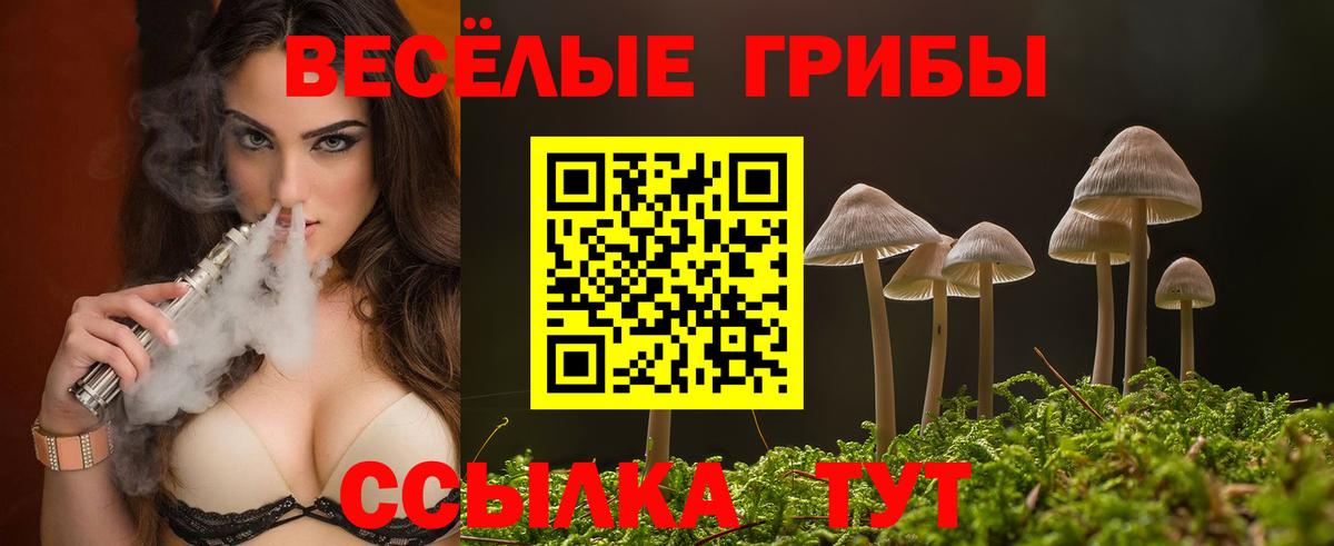 Псилоцибиновые грибы мицелий Кудымкар